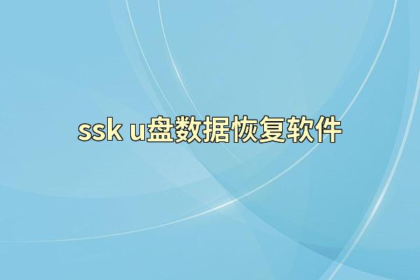 ssk u盘数据恢复软件